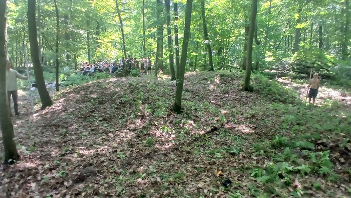 Bibikov 2026 2